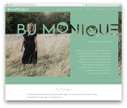 Theme WordPress Sieronline WP Basisthema- Child - bij-monique.nl