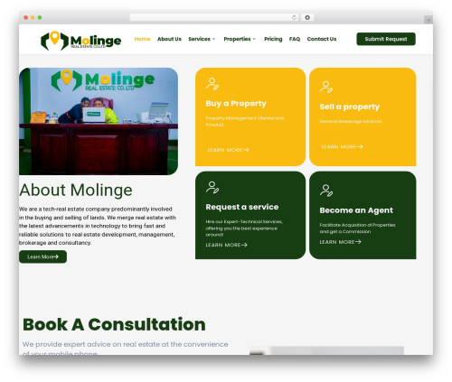Real estate manager pro WordPress plugin - molinge.net