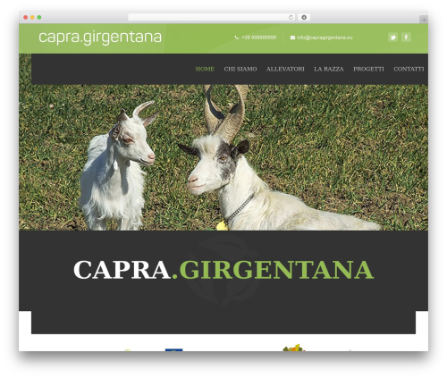 Best WordPress theme Ecorecycle - Multipurpose Wordpress Theme - capragirgentana.eu