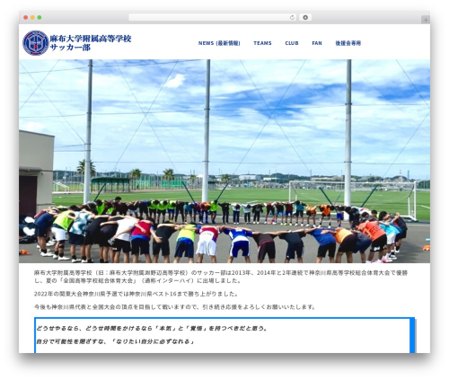 Snow monkey footer cta WordPress plugin - azabu-uhs-soccer.com