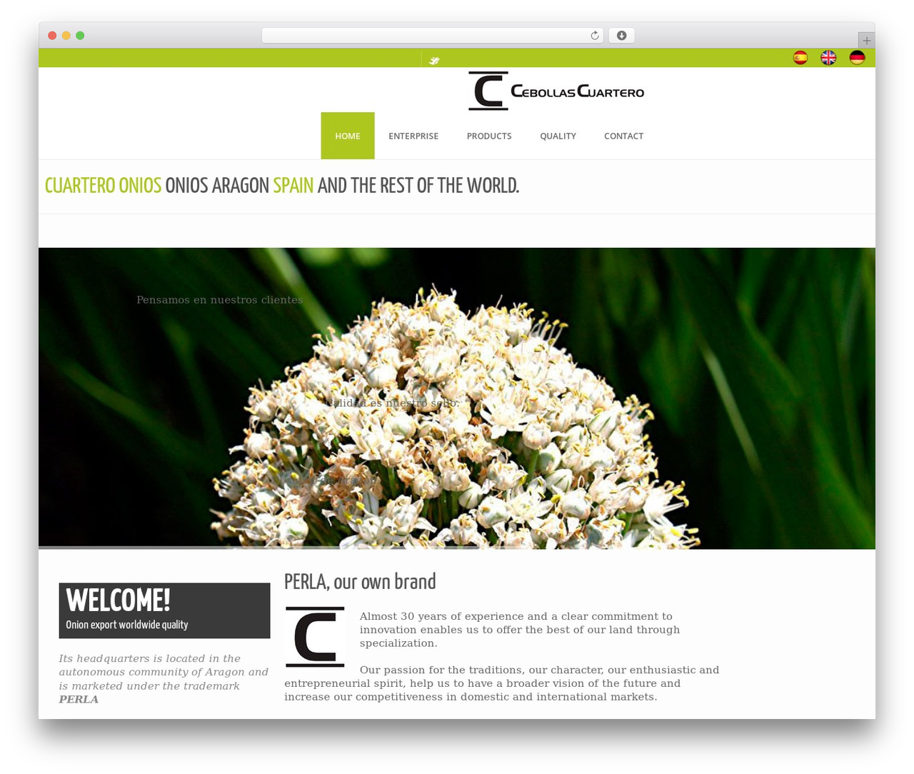 BUILDER THEME top WordPress theme - cebollascuartero.com BUILDER THEME top WordPress theme - cebollascuartero.com