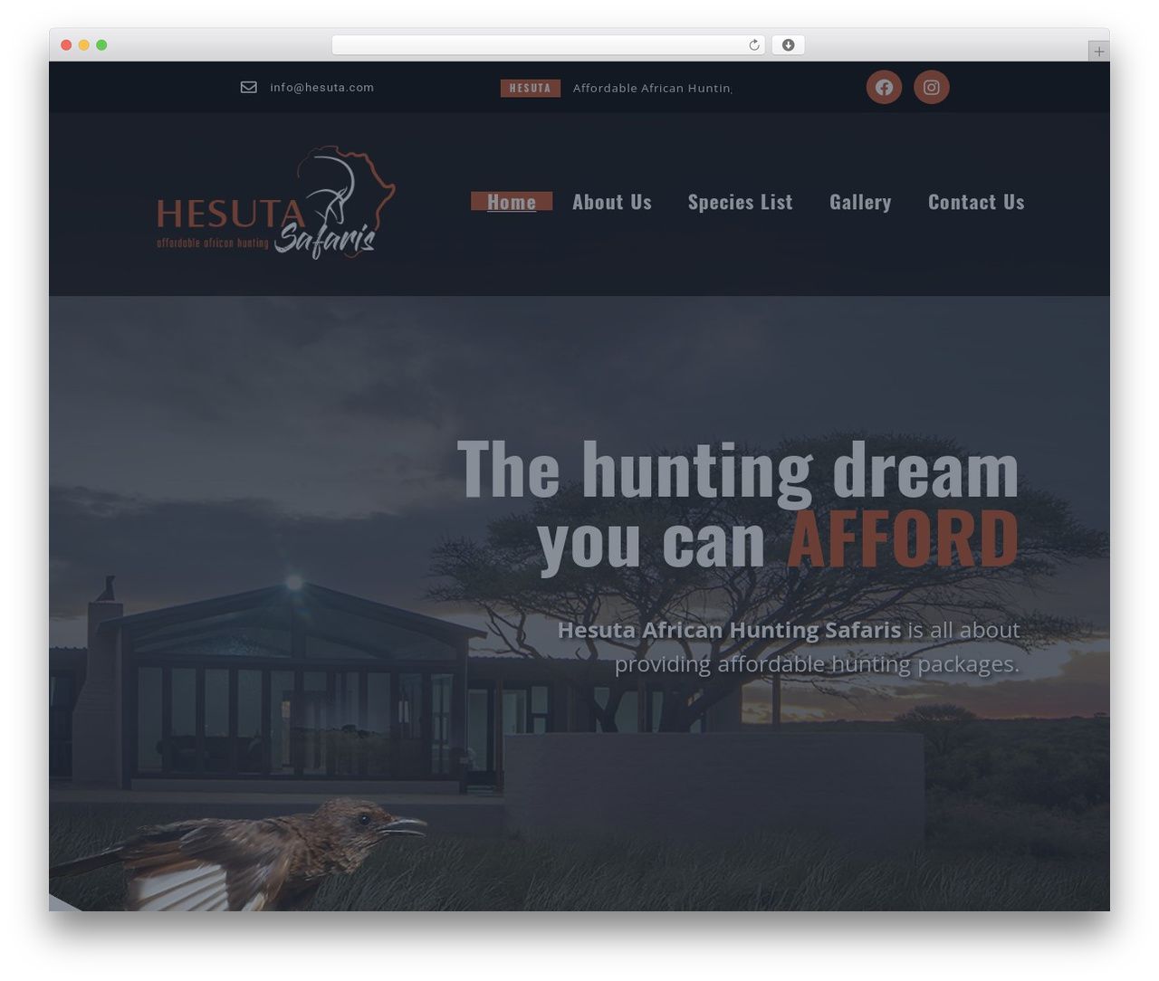 Carne WordPress gaming theme - hesuta.com