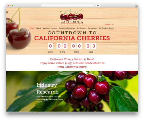 Soon WordPress plugin - calcherry.com