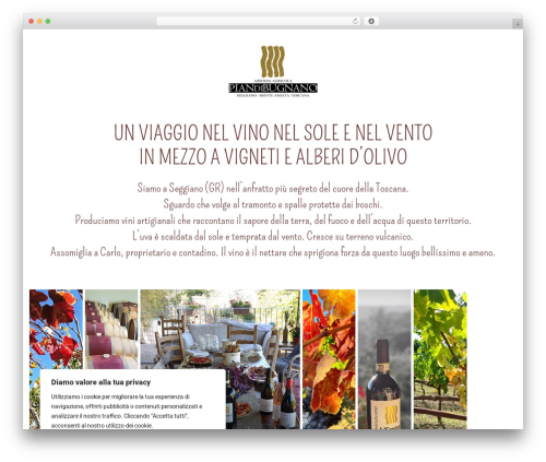 Flip box block WordPress plugin - piandibugnano.com