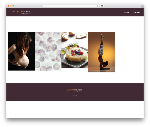 North WordPress theme - cassandrelavoix.com