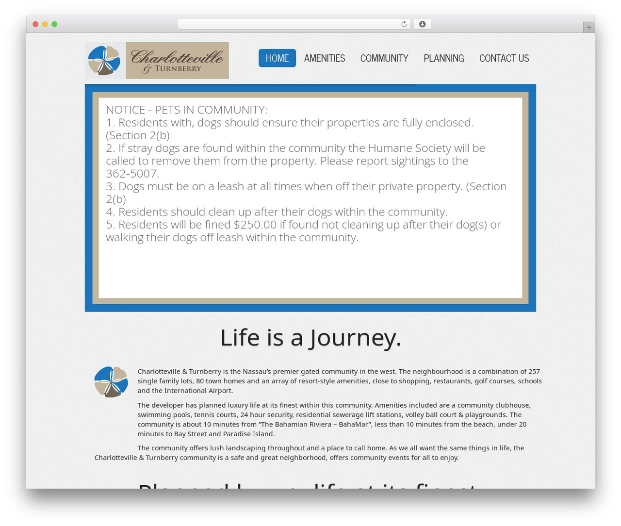 Secundo premium WordPress theme - charlottevillebahamas.com