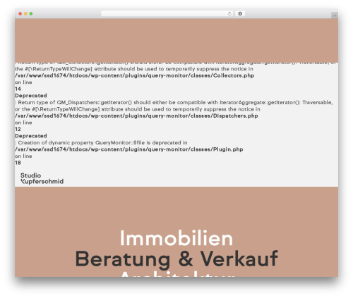 Seleton Theme WordPress theme - studiokupferschmid.ch