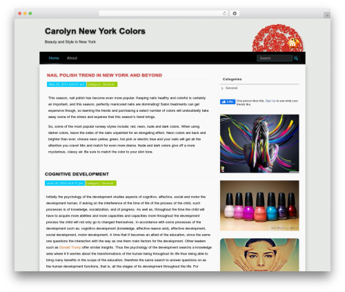 Summ WordPress template - carolynnewyorkcolors.com