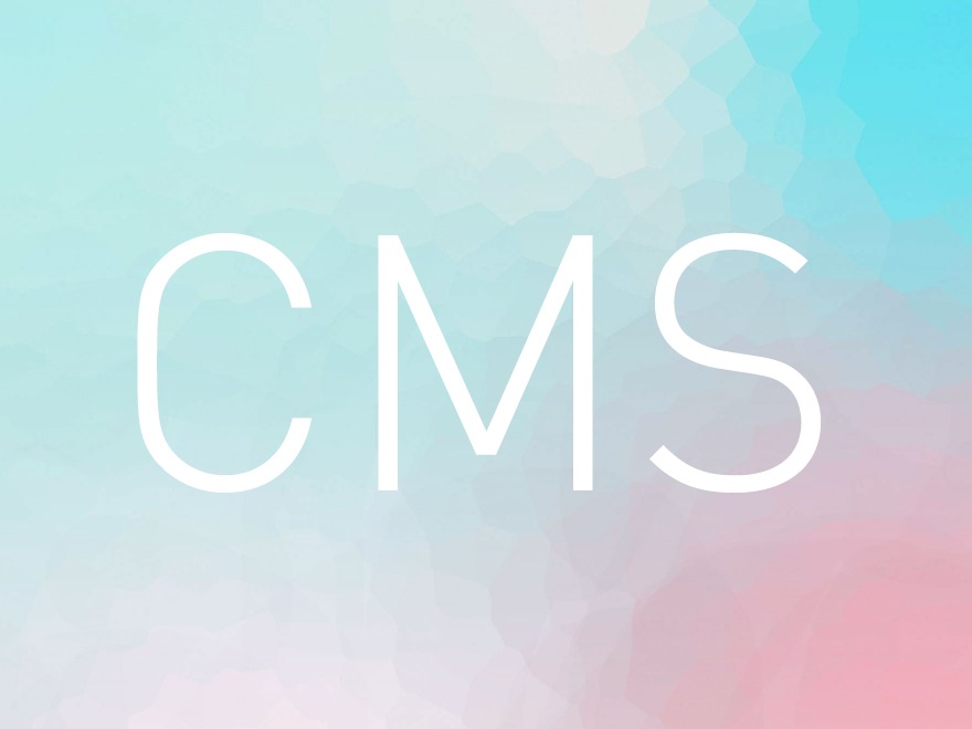 Theme WordPress CMS V2 Theme WordPress CMS V2