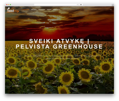 Detheme_builder WordPress plugin - pelvistagreenhouse.eu