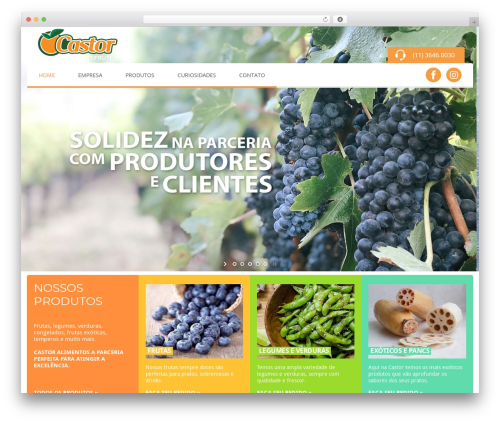PHP Info (php-info-wp) free WordPress plugin - castoralimentos.com.br PHP Info (php-info-wp) free WordPress plugin - castoralimentos.com.br