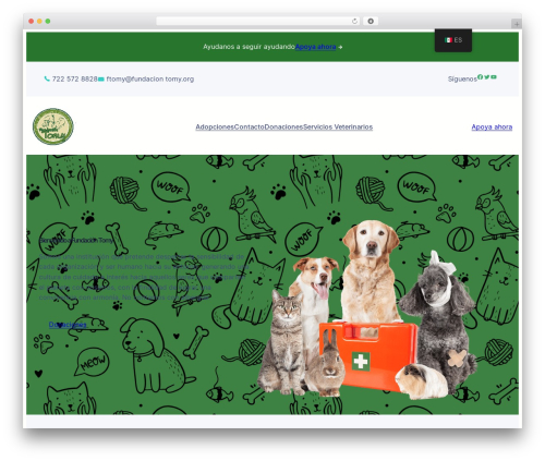 Blockskit Base theme WordPress free - fundaciontomy.org