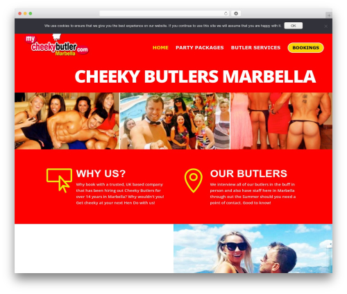 Theme WordPress Divi - cheekybutlersmarbella.com