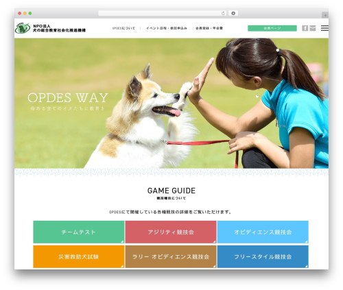 White Studio WordPress page theme - opdes.net