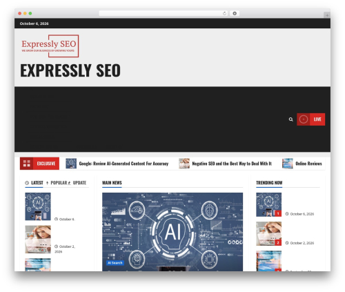 WordPress theme MoreNews - expresslyseo.co.uk