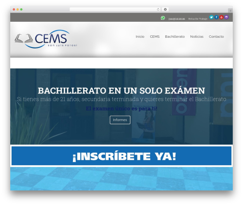 Ajaxy search form WordPress plugin - cems.mx