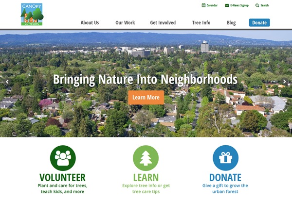 WordPress website theme canopyresponsive by Sharon Colombo