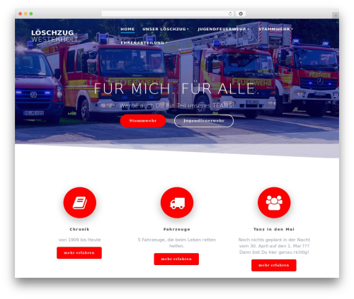 TM Timeline (tm-timeline) free WordPress plugin - feuerwehr-westerholt.de