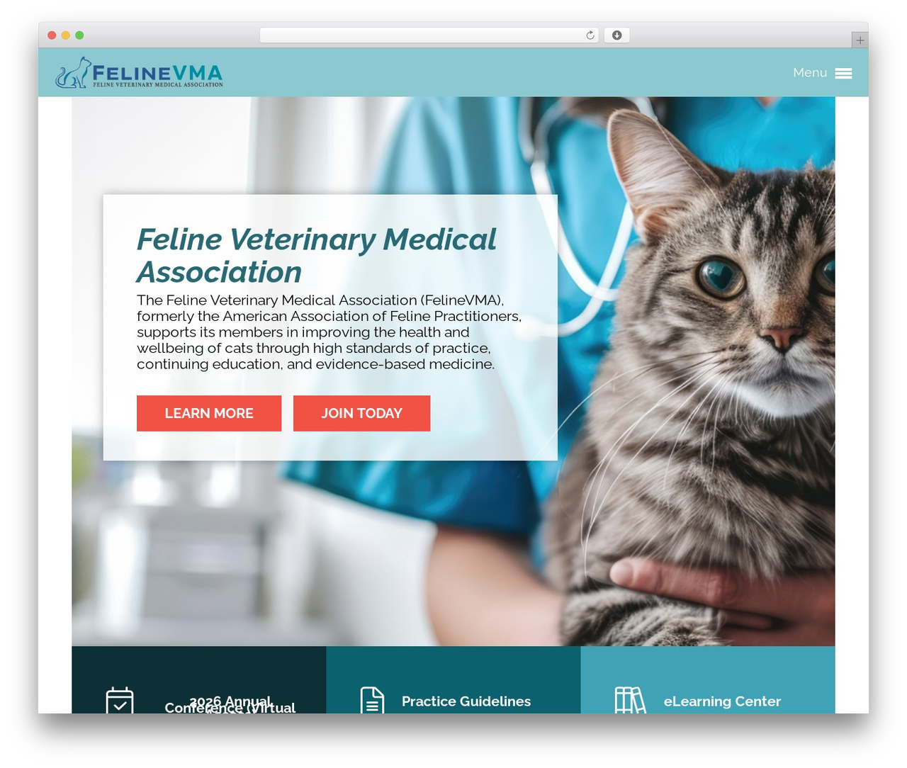 WordPress theme AAFP Theme - catvets.com