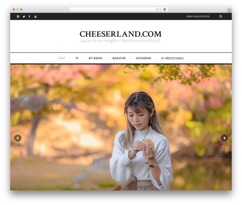 Easy Custom Auto Excerpt (easy-custom-auto-excerpt) free WordPress plugin - cheeserland.com
