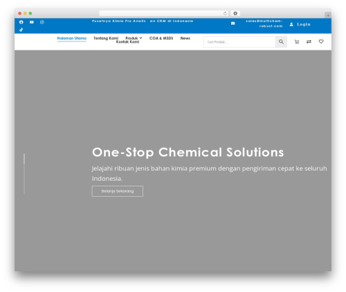 WordPress theme Hello Elementor - multichem-robust.com