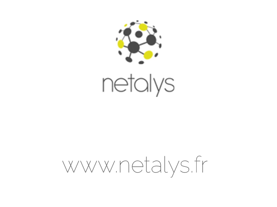 WordPress website theme Netalys by Netalys