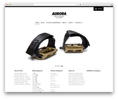 Meet the team WordPress plugin - copy.aurora-collective.com