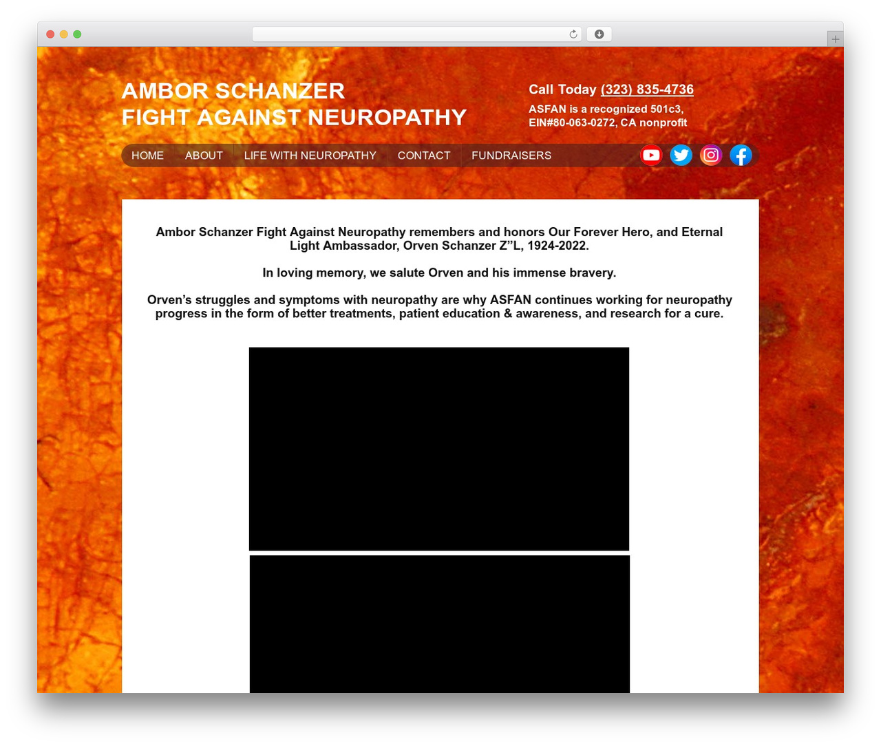 Catalyst WordPress theme - fightagainstneuropathy.org