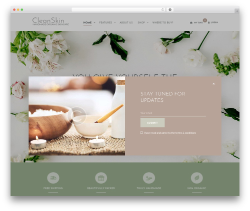 Cleanskin WordPress theme - senzisoap.com Cleanskin WordPress theme - senzisoap.com