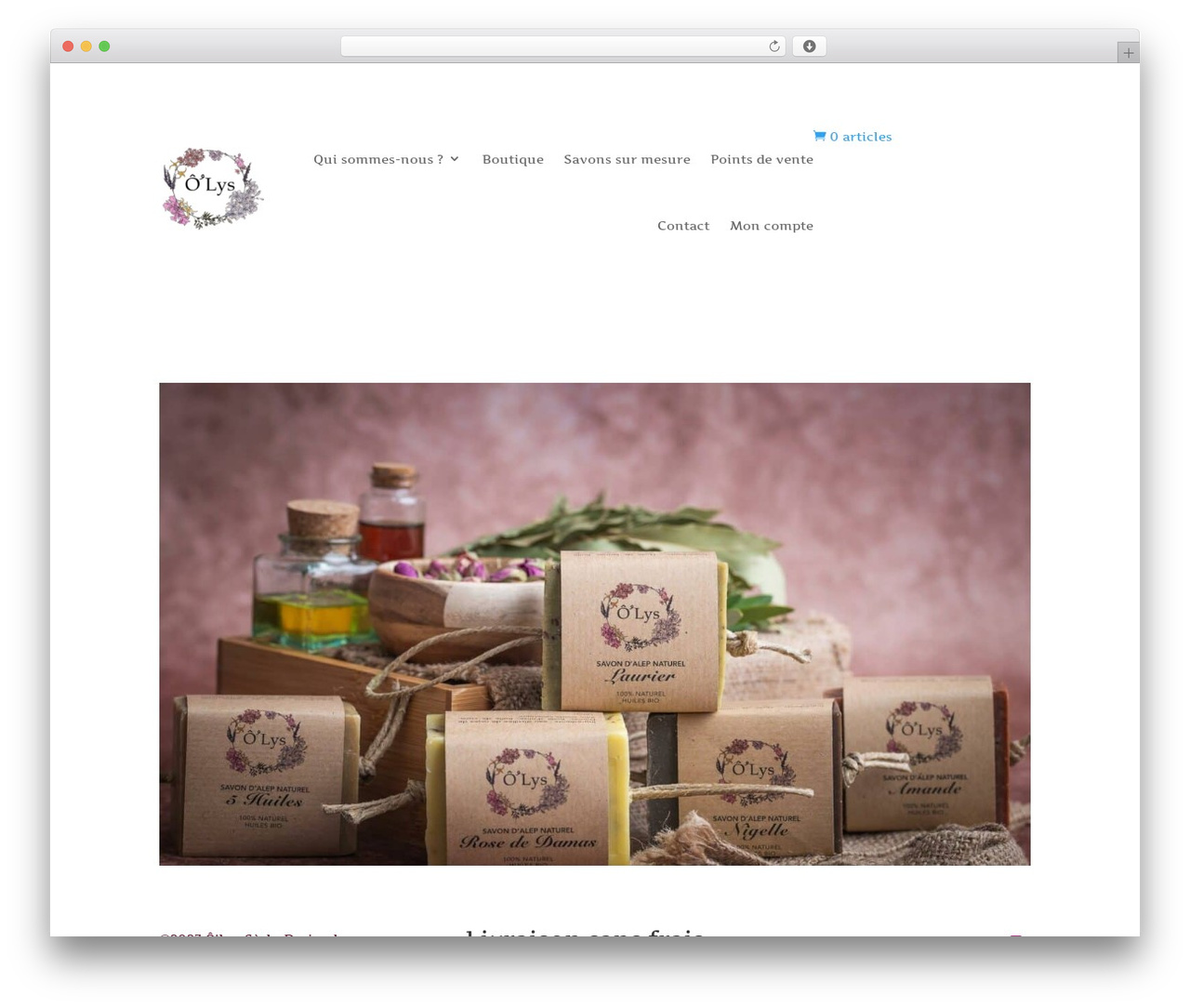 Divi Child Theme theme WordPress - olys.ch