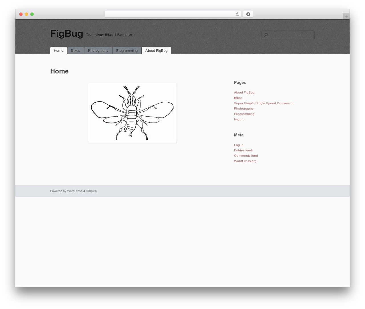 simpleX theme WordPress - figbug.com simpleX theme WordPress - figbug.com