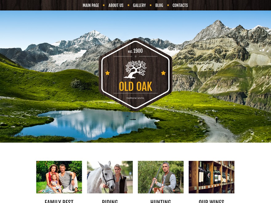 theme51223 WordPress theme