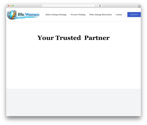 Tenweb builder WordPress plugin - first-choice-plumbing.com