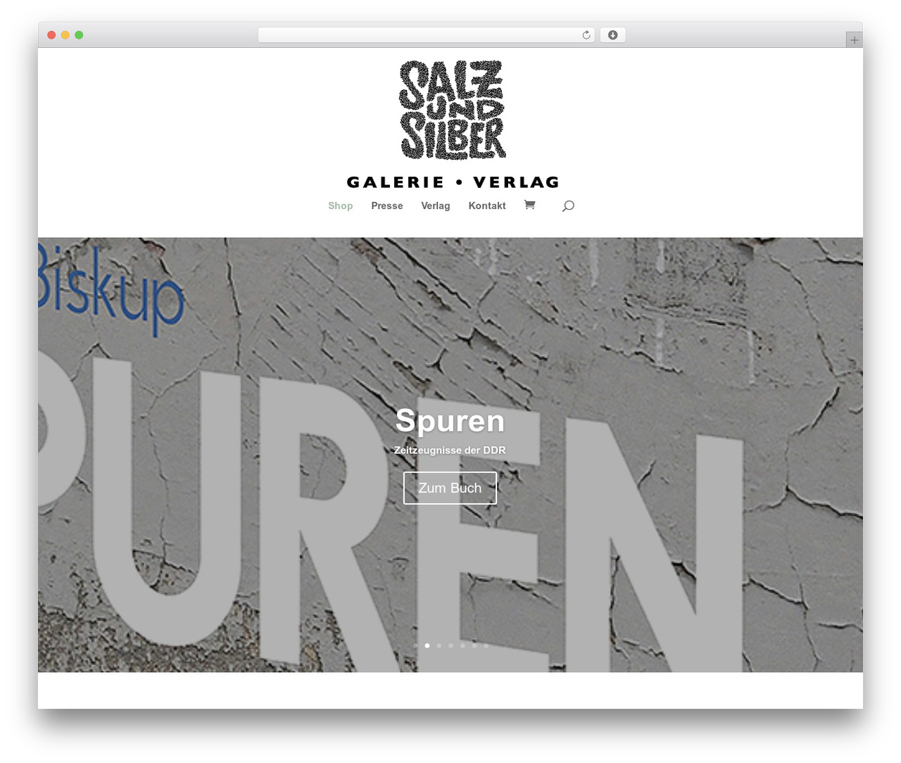 Divi WordPress theme - salzundsilber.de