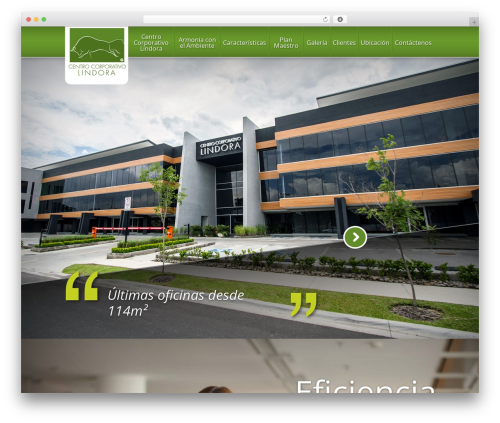 Dzs portfolio WordPress plugin - cclindora.com