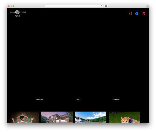 Mosaic Gallery Addon for Elementor (mosaic-gallery-for-elementor) free WordPress plugin - aaroncravenphoto.com Mosaic Gallery Addon for Elementor (mosaic-gallery-for-elementor) free WordPress plugin - aaroncravenphoto.com