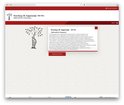 ho_blank WordPress theme - neonakisemmanouil.com