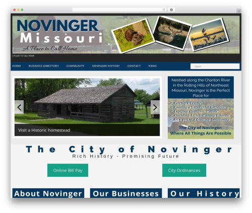 Theme WordPress cherry - cityofnovinger.com