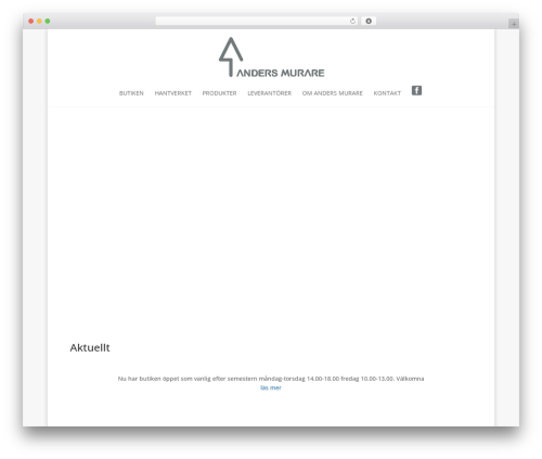 Theme WordPress Divi - andersmurare.se
