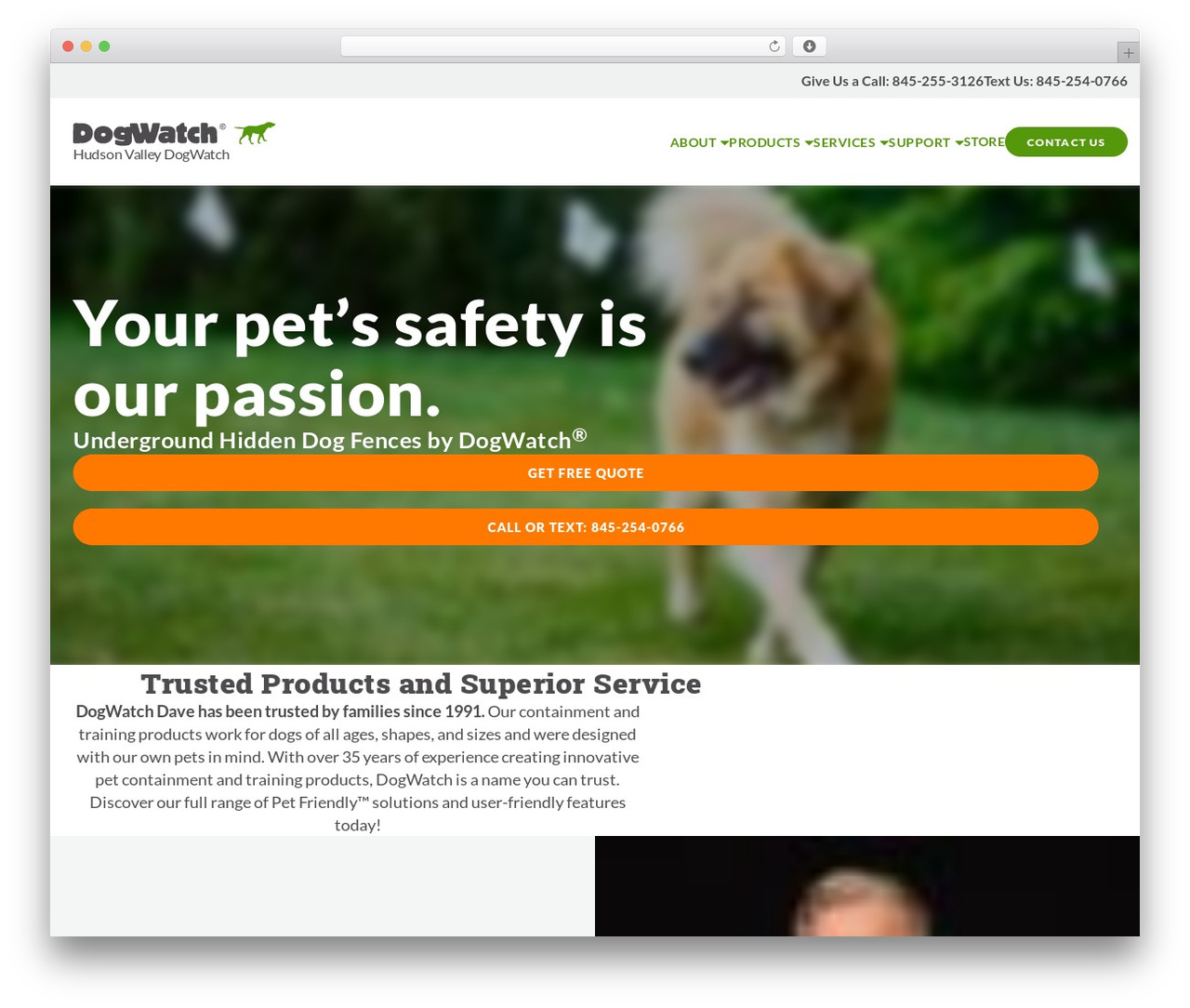 Theme WordPress Five - dogwatchdave.com