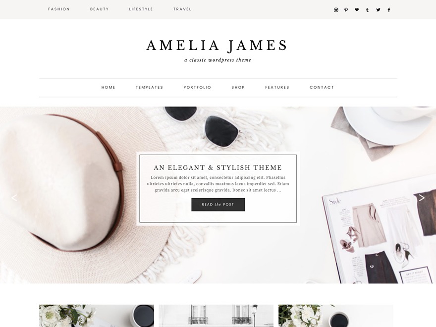 WordPress template Amelia