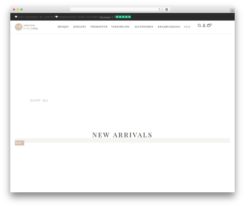 WordPress theme Hello Elementor - welcomelovelybaby.nl