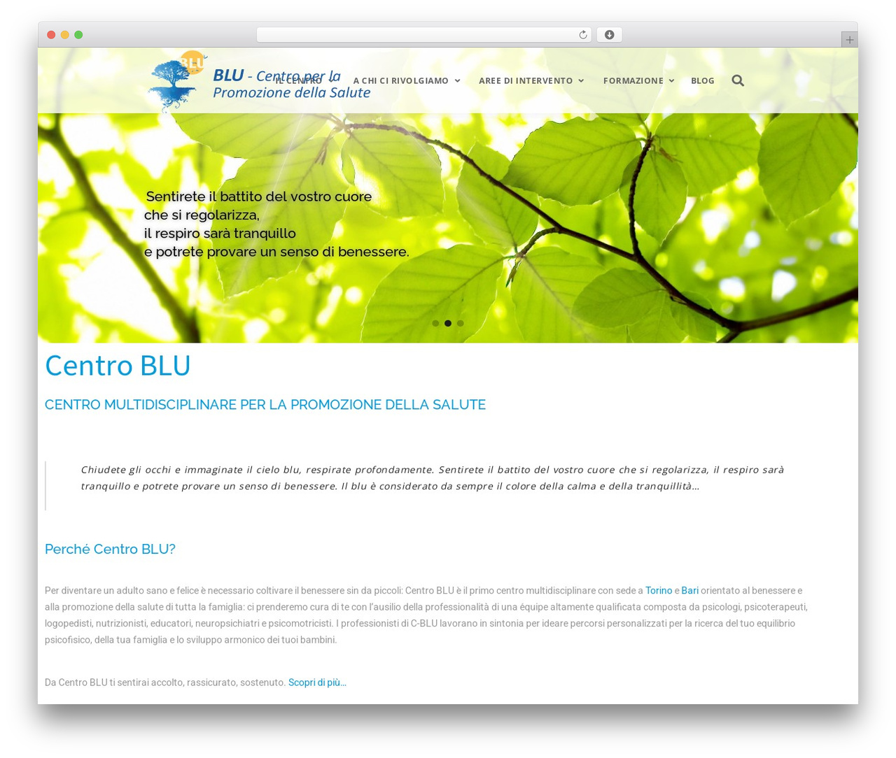 WordPress theme Mobius - c-blu.it