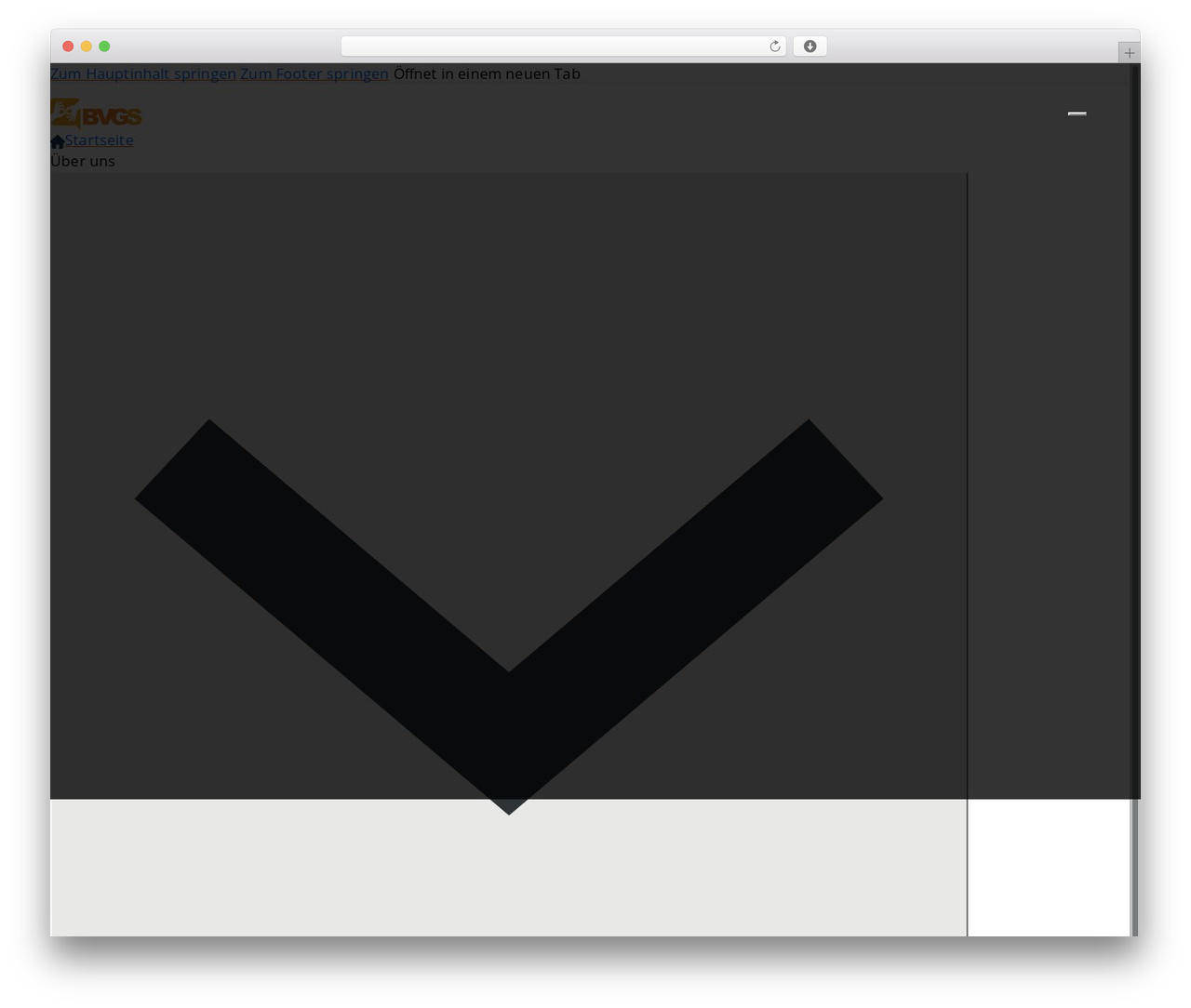 WordPress theme Bricks - bvg-sachsen.de