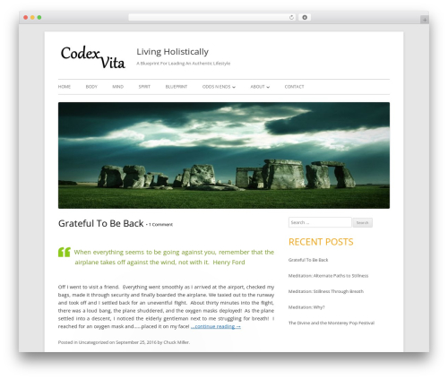WordPress theme Tiny Forge - codexvita.com