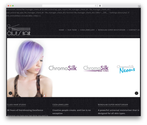 cherry WordPress theme - clueshair.com.au