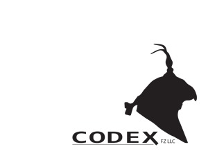 Codex WordPress theme by Codex