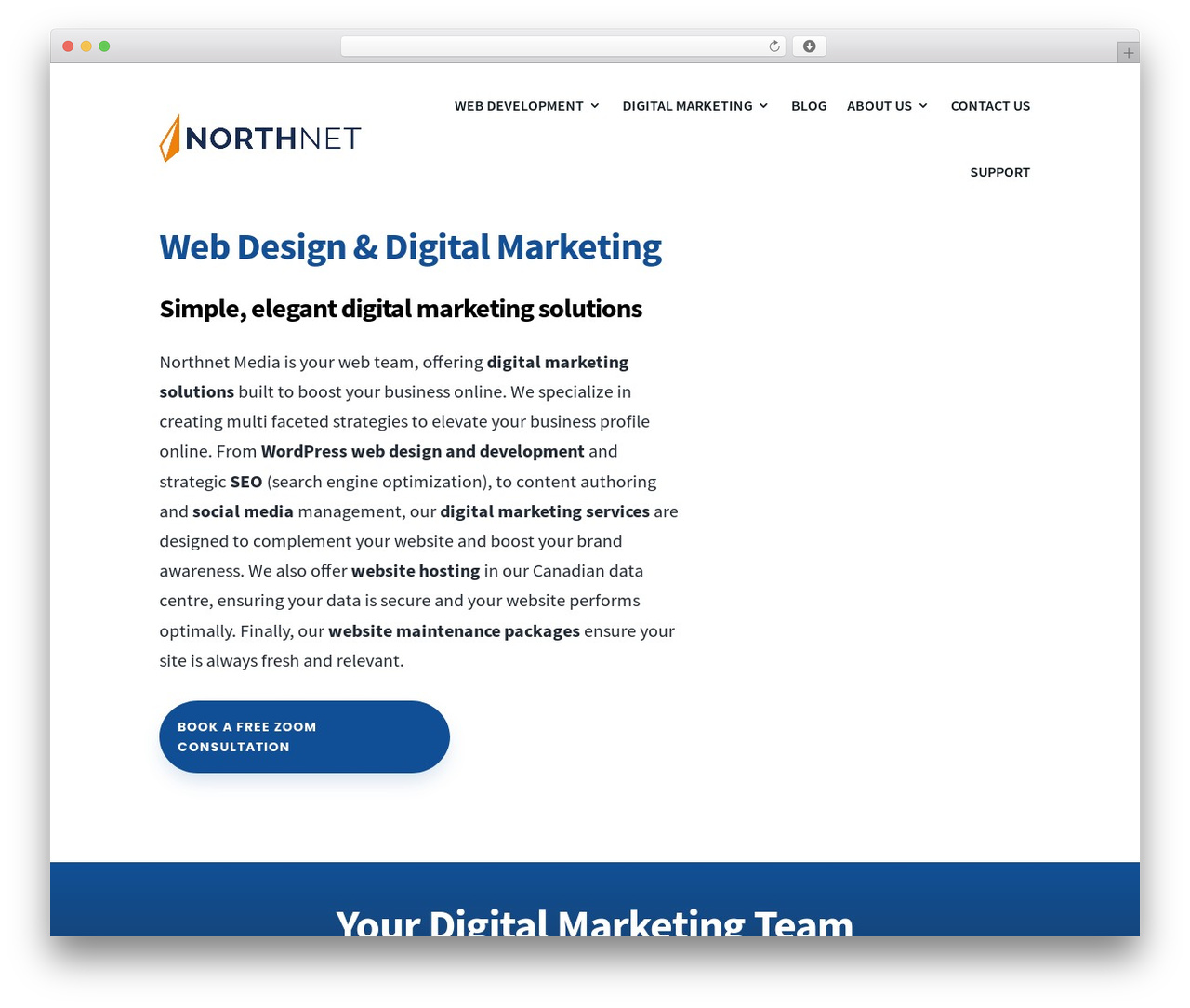 Divi WordPress theme - northnetmedia.com