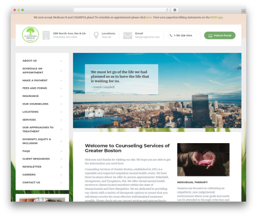Proteuswidgets WordPress plugin - csgboston.com