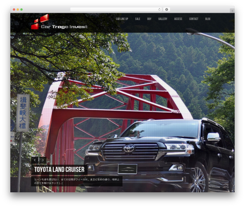 WordPress theme Lensa - car-trage.com
